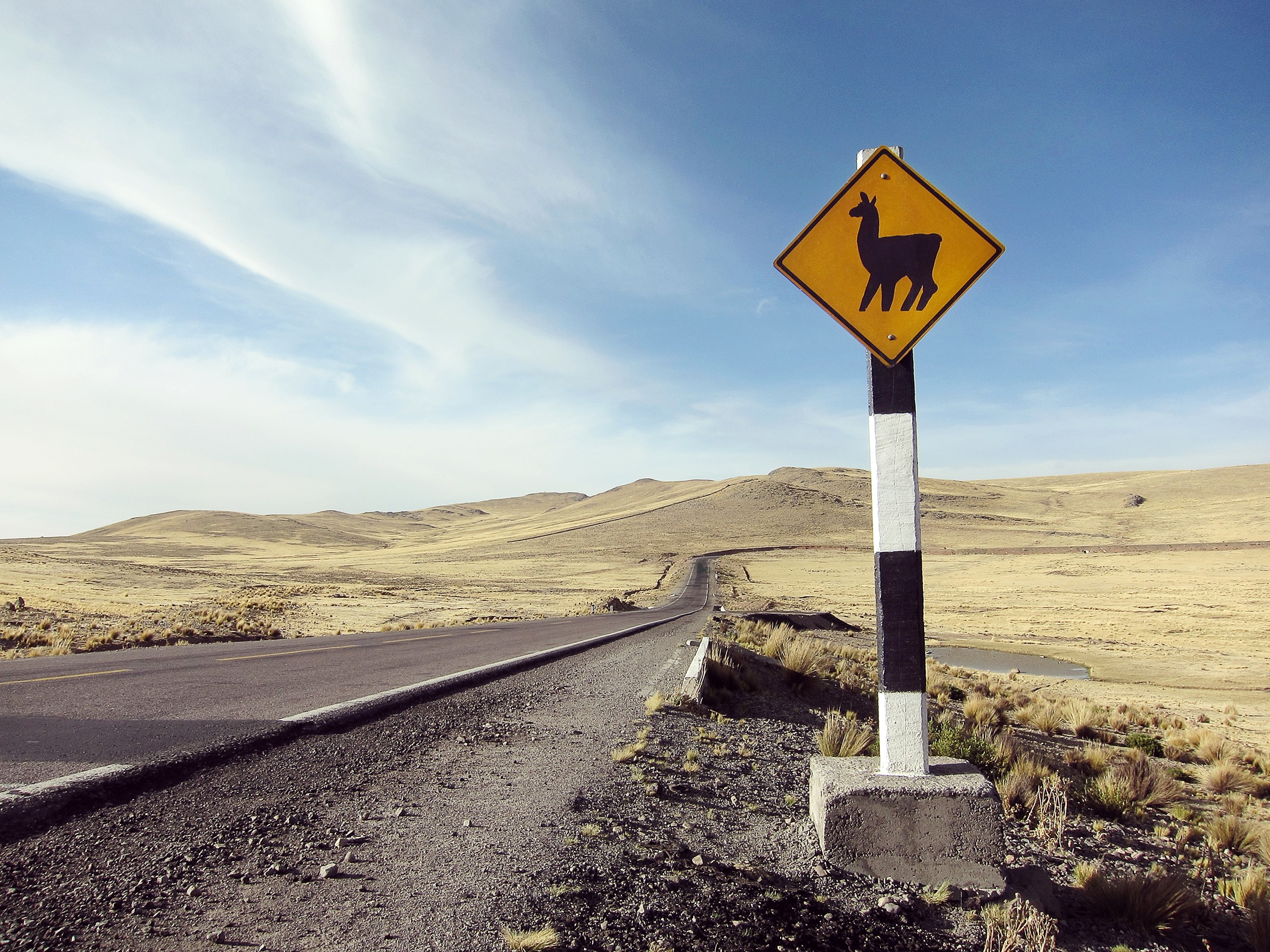 Desert landscape with a warning sign of a moose on the roadside, under a partly cloudy sky.