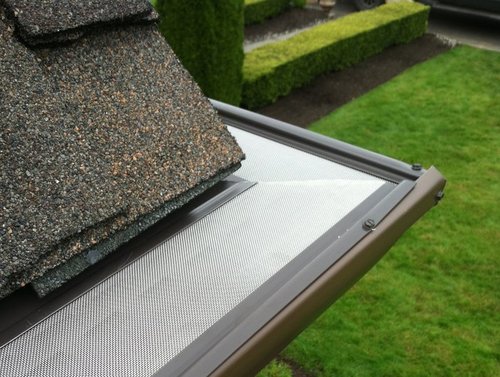 Close-up of a roof gutter with shingles and a mesh screen, with a garden in the background.