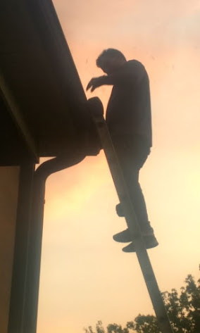 Person standing on a ladder against a sunset sky, with a tree visible in the background.