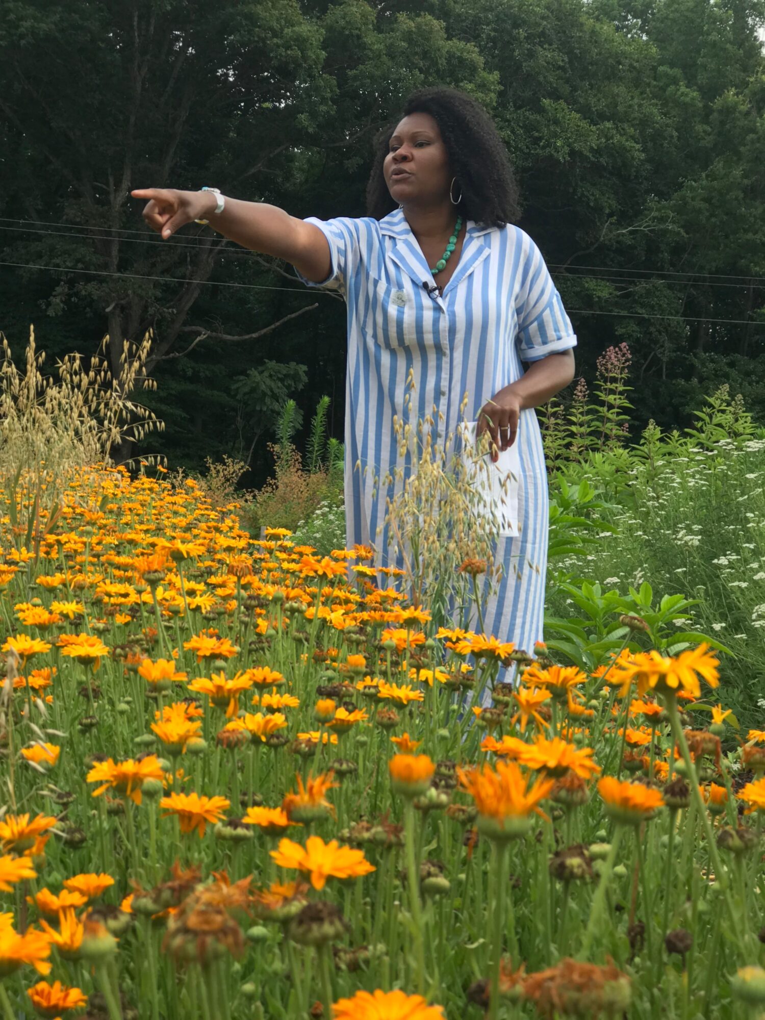 Woman in striped dress pointing with a garden of yellow and orange flowers, green trees in background.