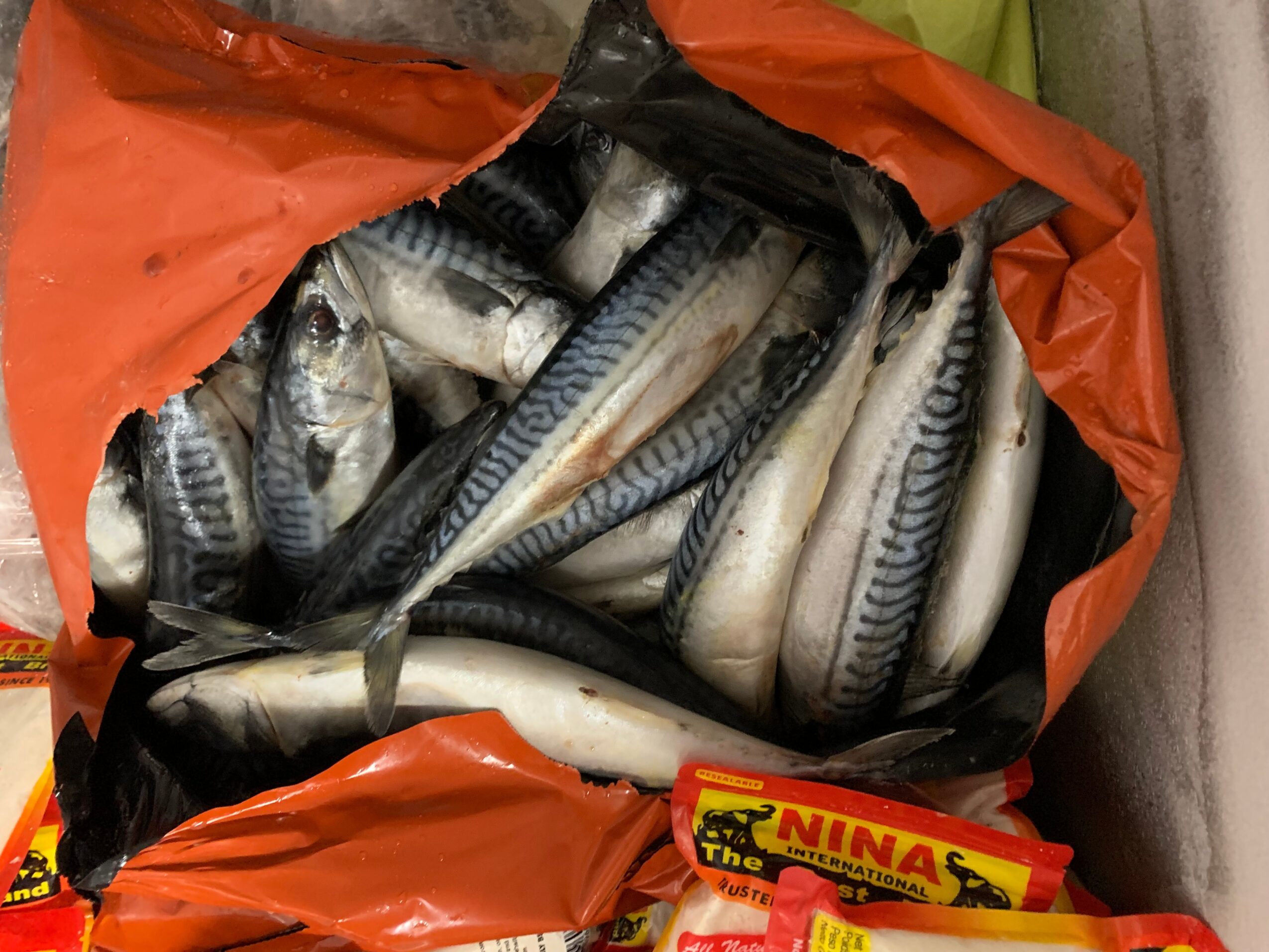 Open bag of fish with striped patterns, some with fins, inside a red and black bag, with a packet of Ninja food seasoning nearby.
