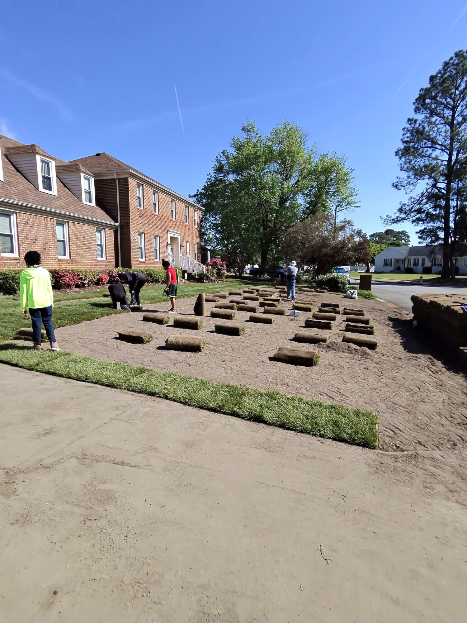 People planting trees in a yard with a brick apartment building and trees in the background, under a clear blue sky.