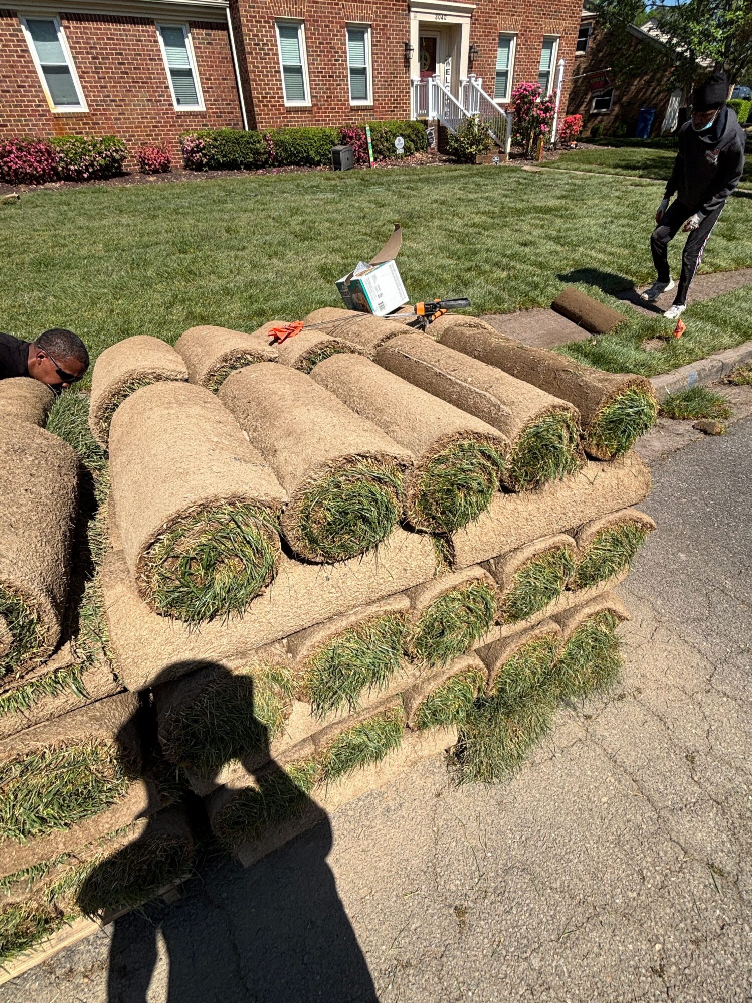 Person standing on a sidewalk near a landscaped area with large, rounded bushes and grass, shadow cast on ground.