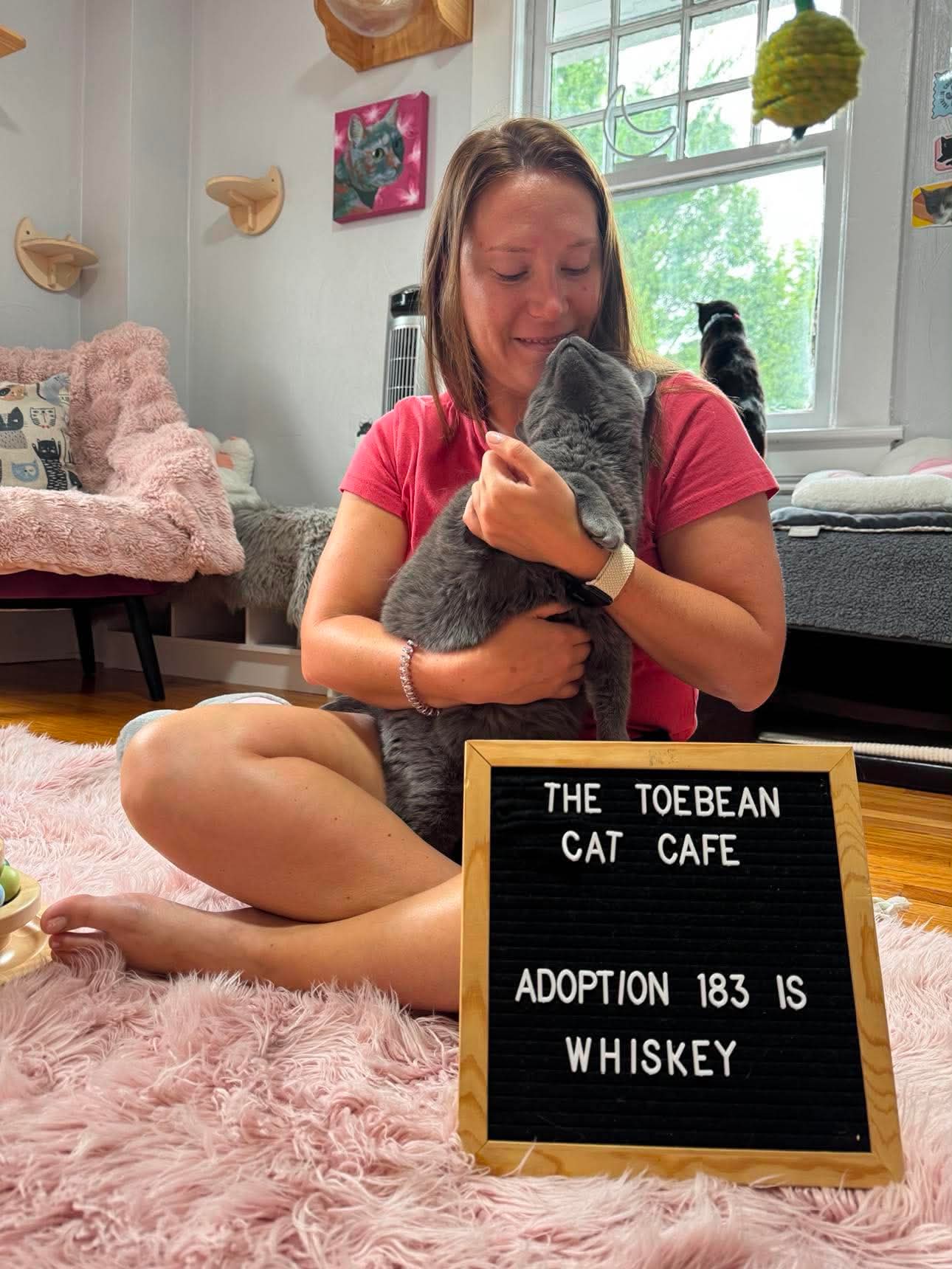 Woman sitting on pink fluffy rug holding gray cat, smiling, with a sign reading 'Adoption 183 is Whiskey' in front of her.