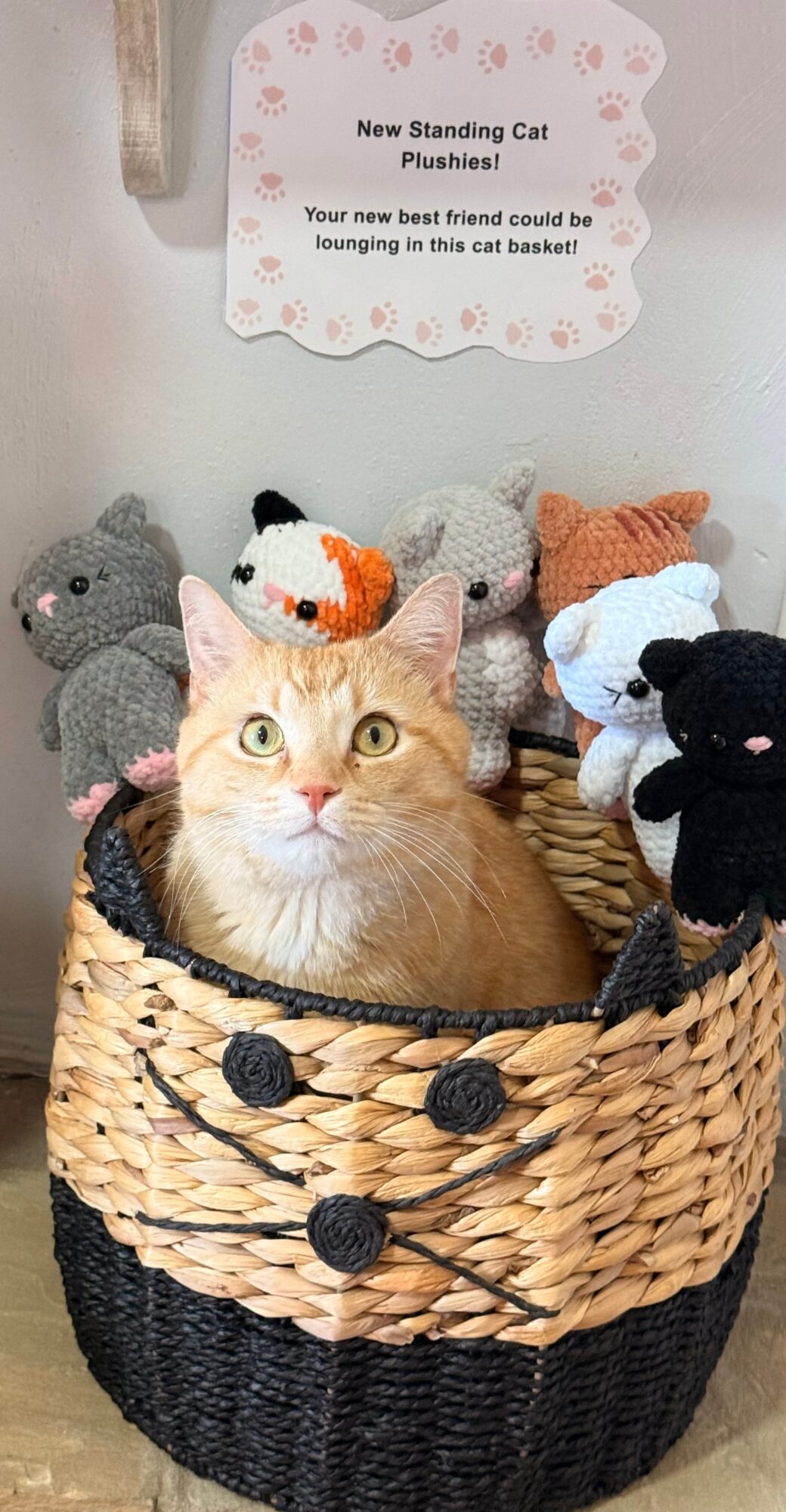 Orange cat in a woven basket surrounded by plush mouse toys, with a sign above reading about a new standing cat plushie.