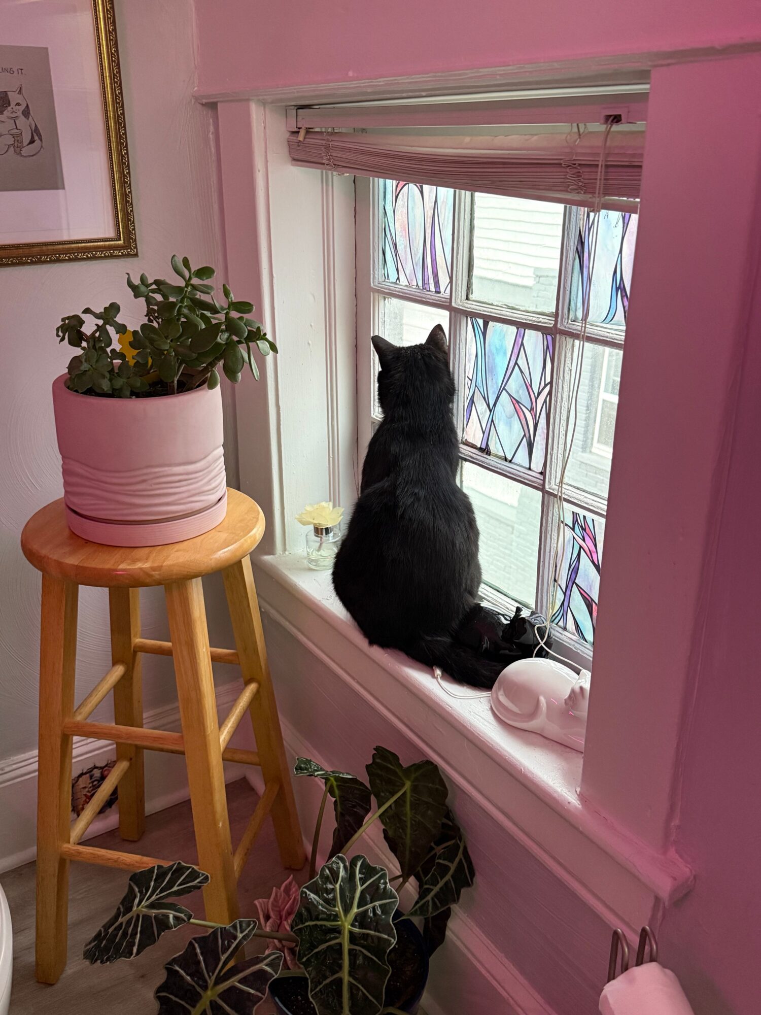 Black cat sitting on windowsill looking outside, with a potted plant on a wooden stool nearby, in a pink room.